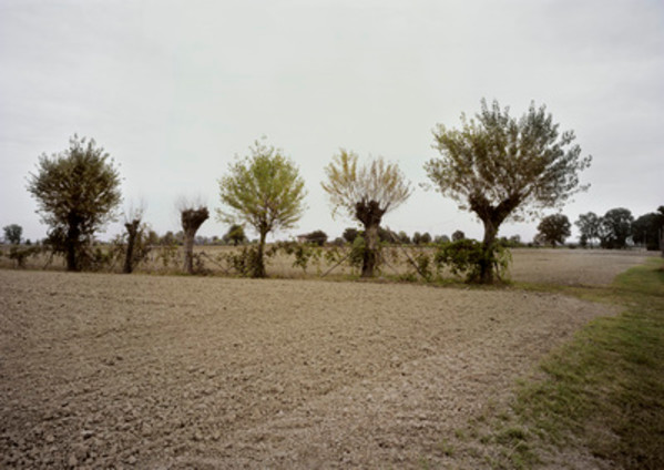 #44, Near Ferrara, October 17 by Eric Klemm, Image 1.