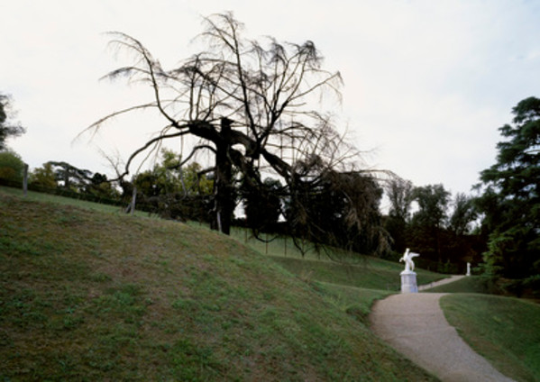 #50, Firenze, Bobali Garden, October 24 by Eric Klemm, Image 1.