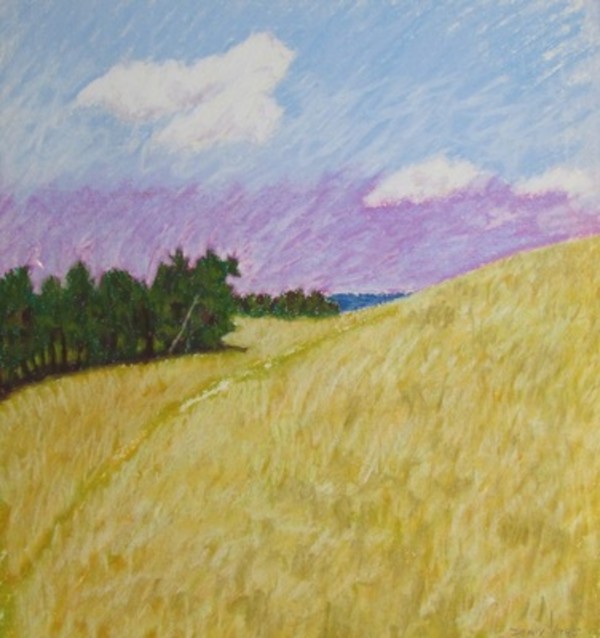 Salt Spring Landscape by Diana Dean, Image 1.