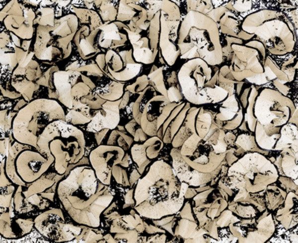 Shavings #8 by Eric Klemm, Image 1.