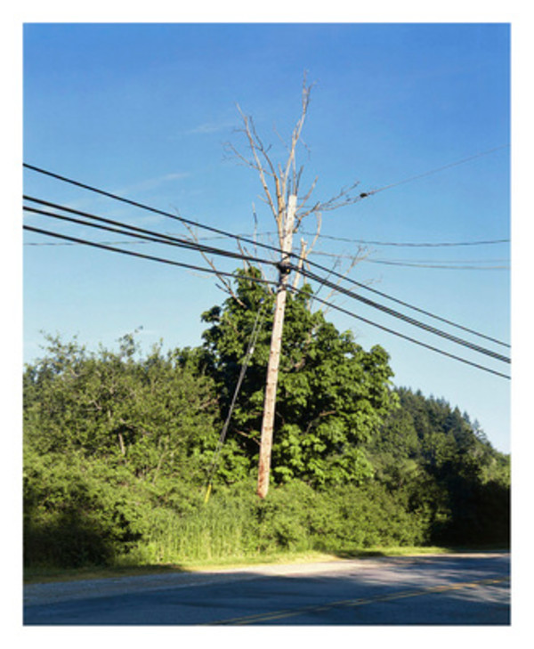 Forever Green 7 by Eric Klemm, Image 1.