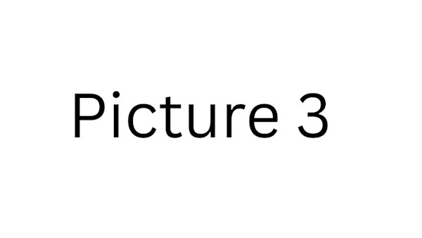 Picture 3 by Artist 3