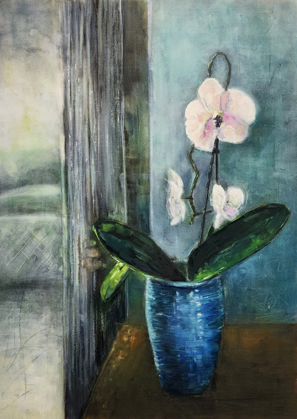 Orchid Dreams by Jodi Gaines