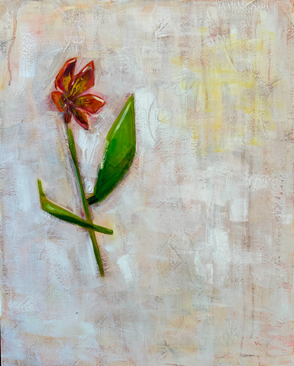 The Floating Garden: Orange Peruvian Lily by Jodi Gaines