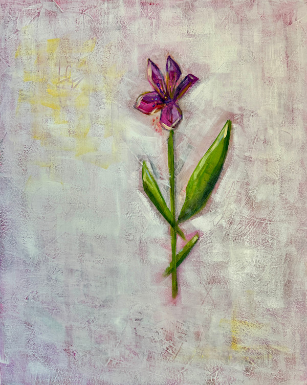 The Floating Garden: Purple Peruvian Lily by Jodi Gaines