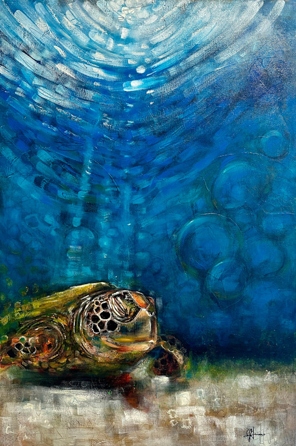 Turtle Dreams by Jodi Gaines, Image 1.
