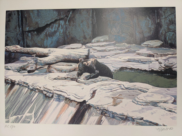 Zoo Bear by Fran Bull