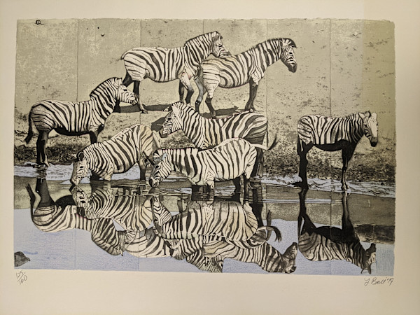 Zebras by Fran Bull