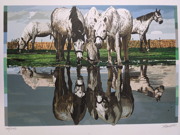 Horses of the Camargue by Fran Bull