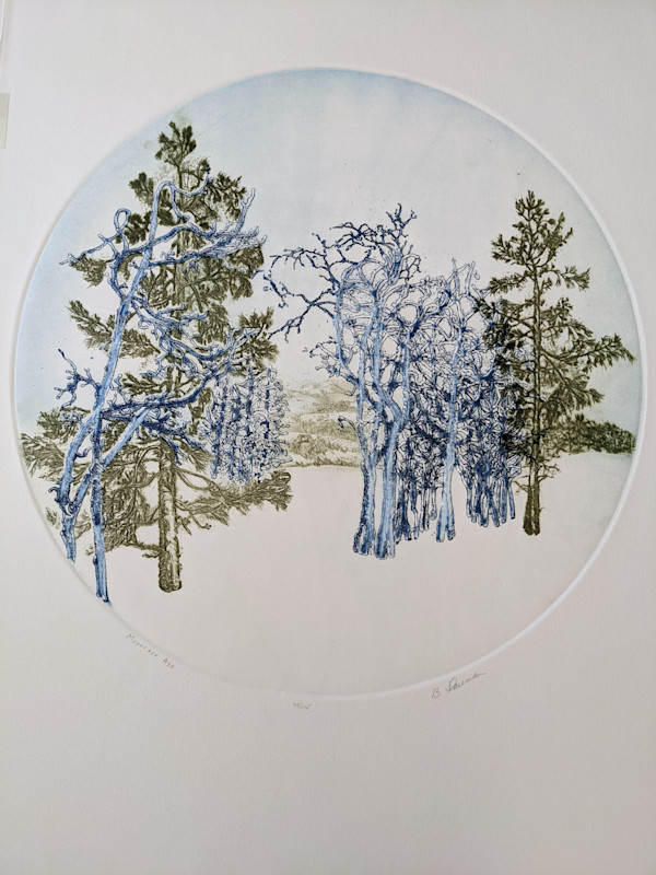 Mountain Air by Barbara Dauman