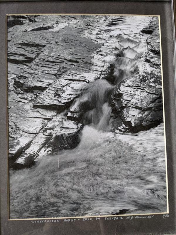Wintergreen Gorge - Erie, PA by L.J. Hemmis