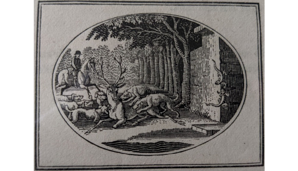 Fable XXXIX: The Two Lizards (From "Select Fables- Aesop") by Thomas & John Bewick, Image 1.