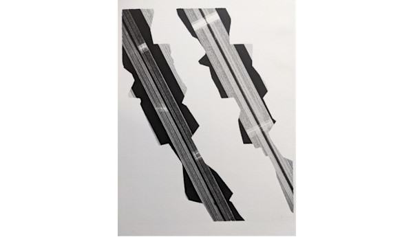 Beautiful Display No. 2 (Ch 9) by Stephen Hazel