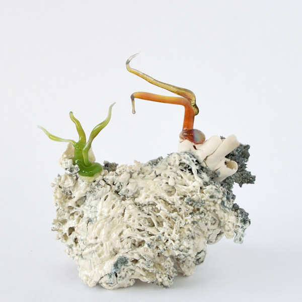 Cristallisation organique / Organic Cristallization by Asmae Laraqui