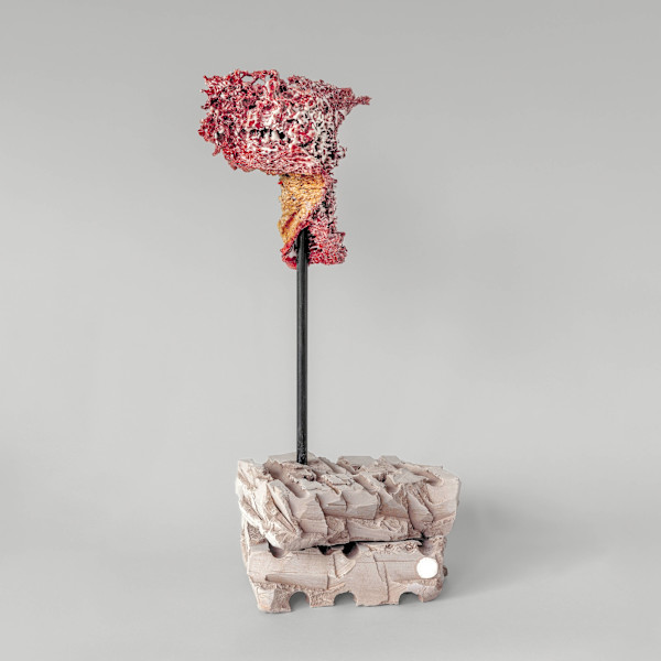 Emerging by Asmae Laraqui