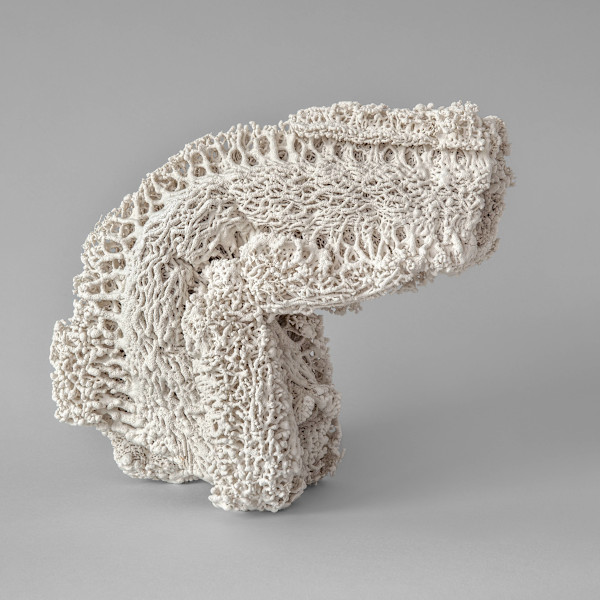 Métamorphose crue / Raw Metamorphosis by Asmae Laraqui