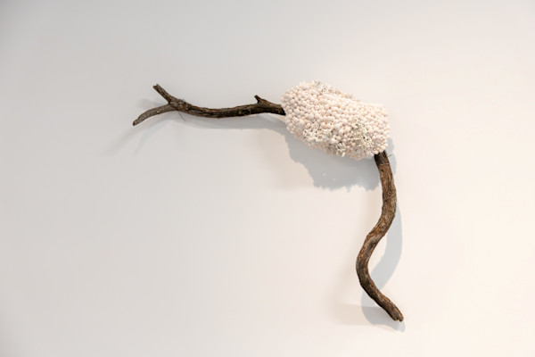 Entre Mer et Terre - Between Sean and Land by Asmae Laraqui, Image 1.