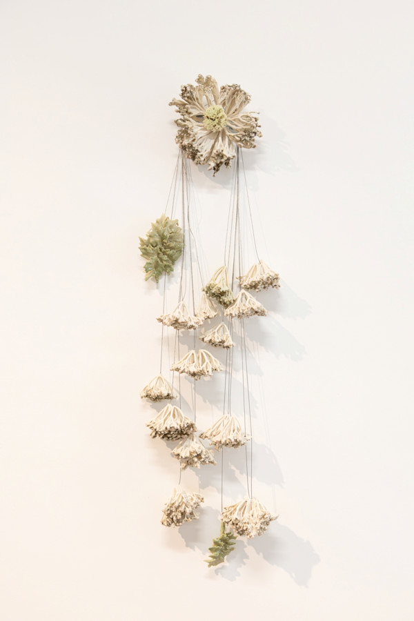 Traces d'une floraison méditerranéenne / Remnants of a Mediterranean Bloom by Asmae Laraqui, Image 1.