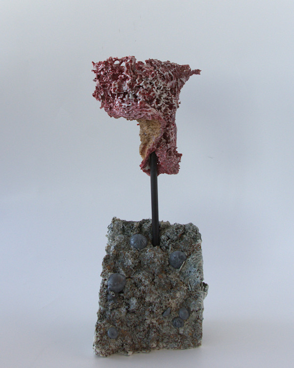 Mémoire en mutation / Memory In Mutation by Asmae Laraqui, Image 2.