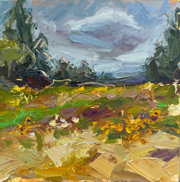 Fells Field by Sara Rae