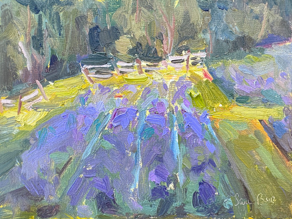 Lavender Fields by Sara Rae