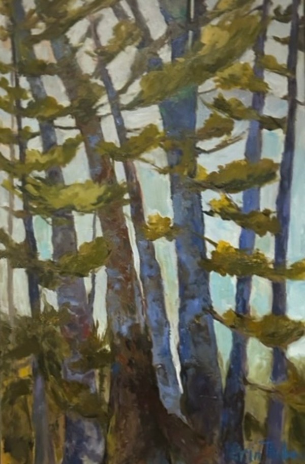 Bouleau bleu/ Blue Birch by Erin Thibault