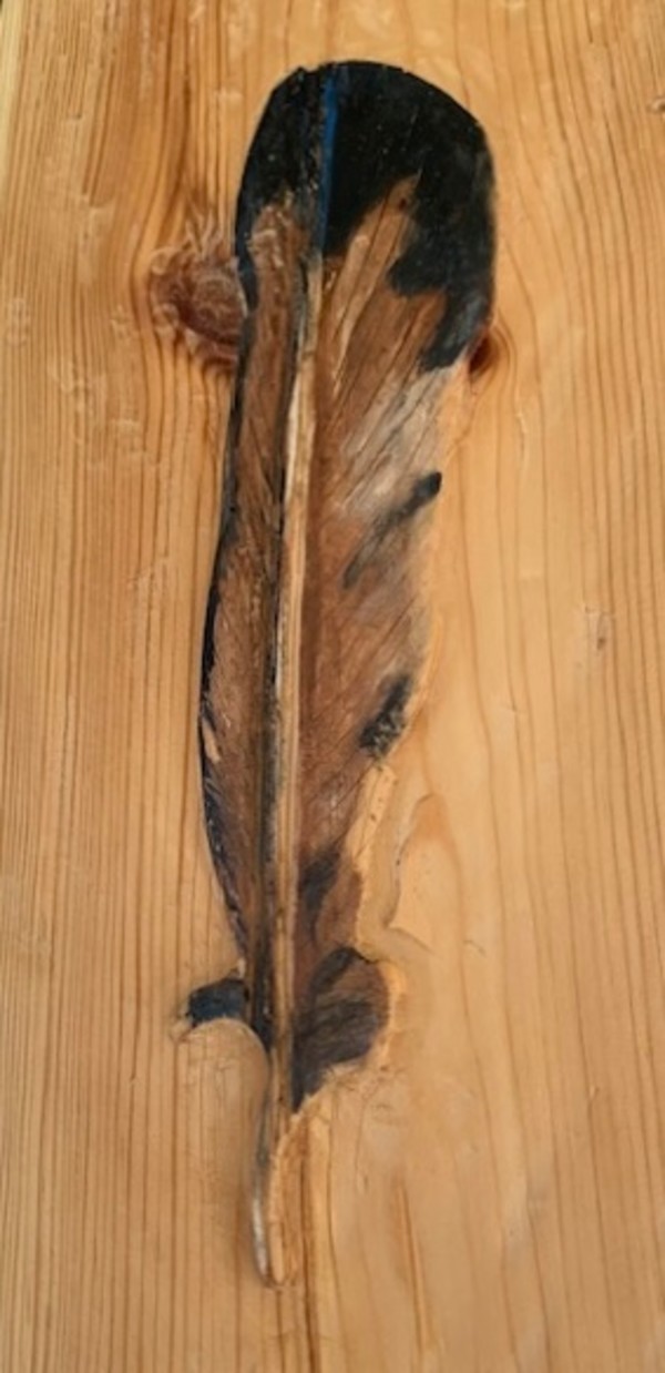 Plume brune/ Brown Feather by Olga Grigoriev