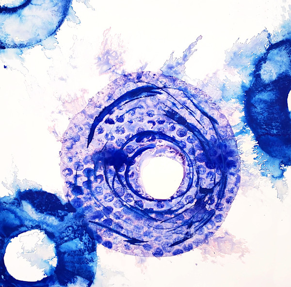 Psychedelic Donuts 01 (The Squirming Coil, 7/22/2017, New York, NY) by Rachel Wilsey