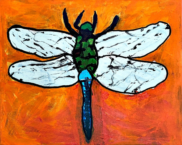 Dragonfly by Tex