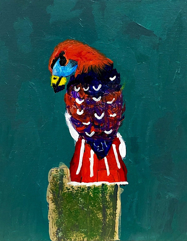 Hawk by Josh