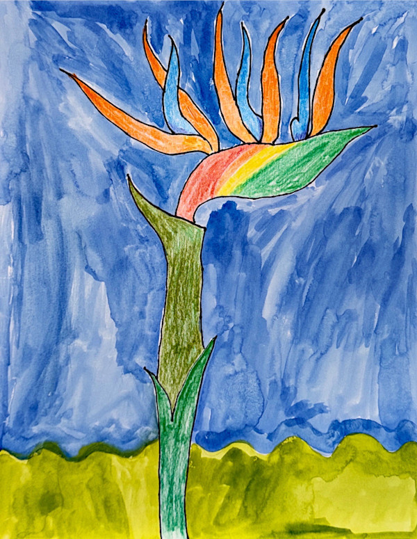 Bird of Paradise by Mike, Image 1.