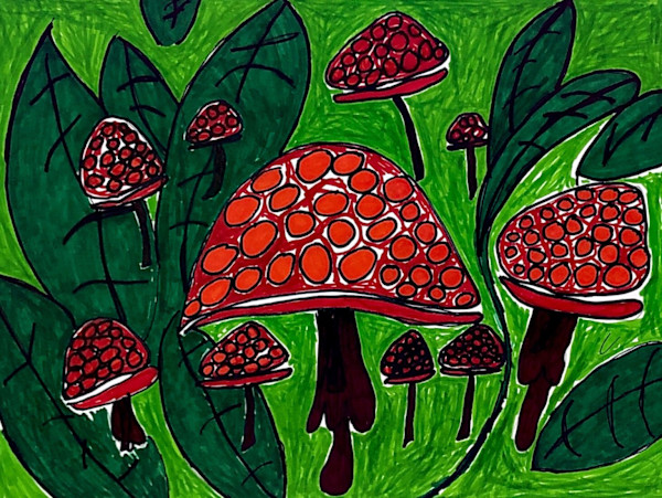 Mushrooms by Mike