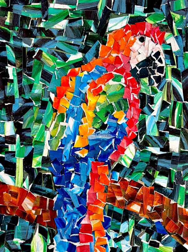 Parrot by Spencer, Image 1.