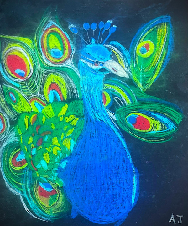Young Peacock by AJ