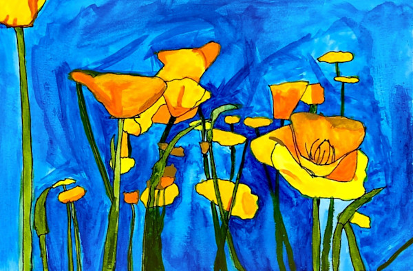 Poppies by Nick