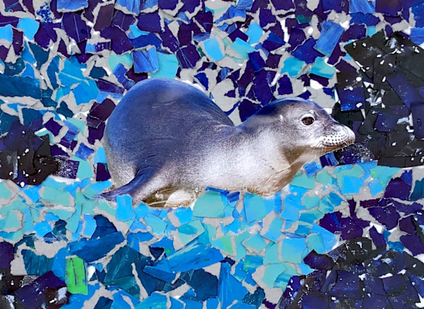 Seal In The Ocean by Shiloh