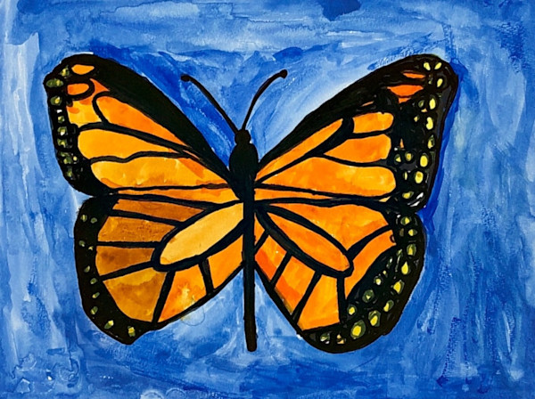 Butterfly by Tex