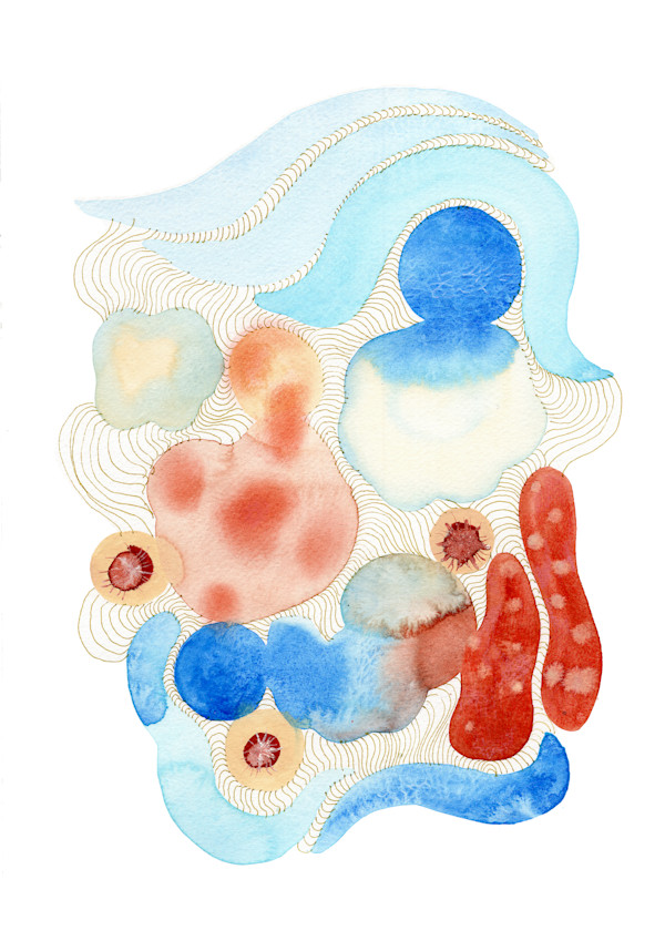 Coral Reefs by Ariel Rodriguez