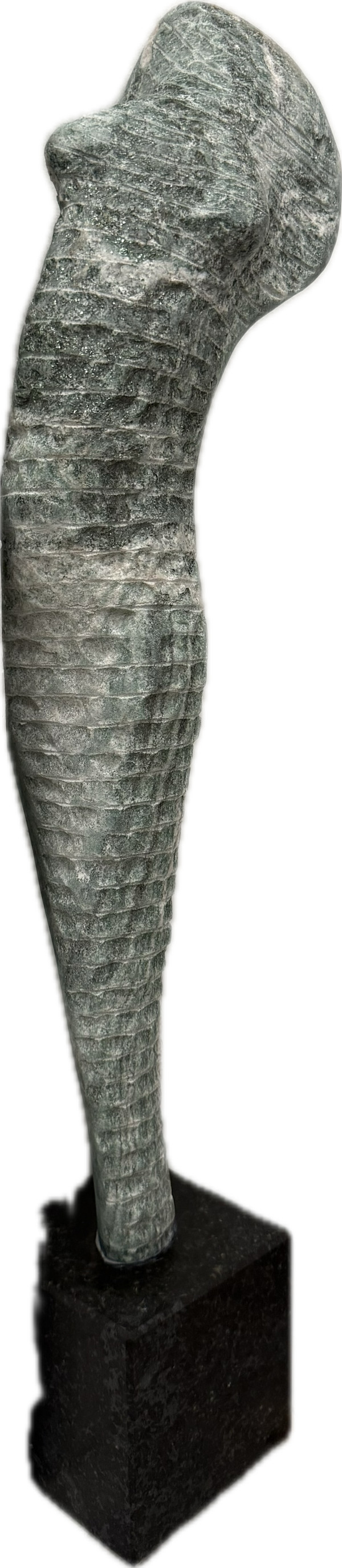 Løvetann by Fredrik KB