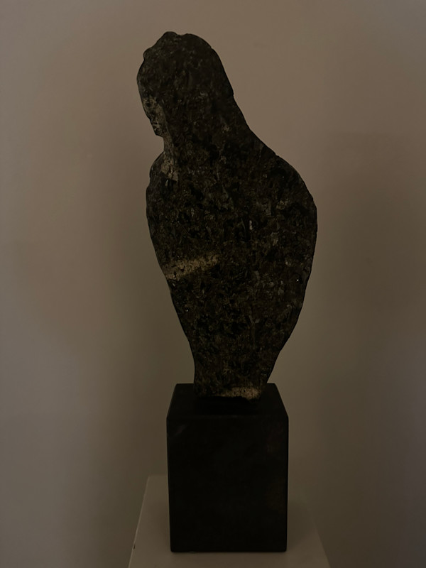 Mannen fra fjellet by Fredrik KB