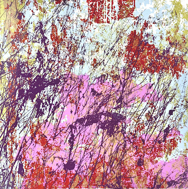 C-1963 by Mark A. O'Neil, Image 1.