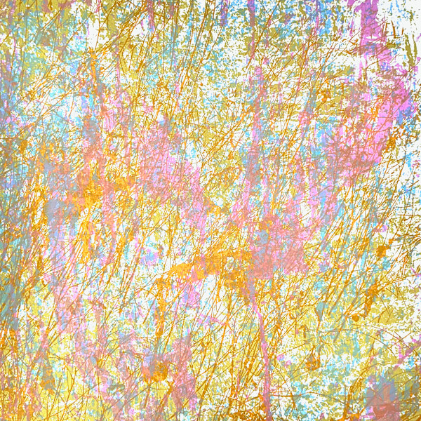 C-260205-1.2 by Mark A. O'Neil, Image 1.