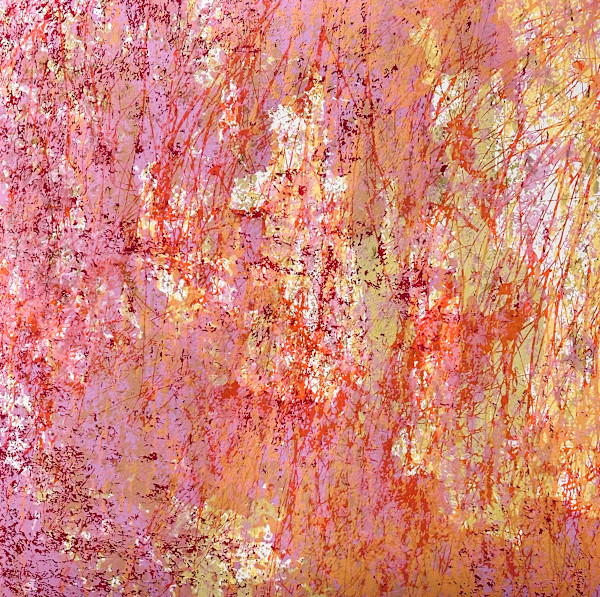C-260218 by Mark A. O'Neil, Image 1.