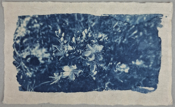 Giorni d'estate by Annalisa Mercuri, Image 2.