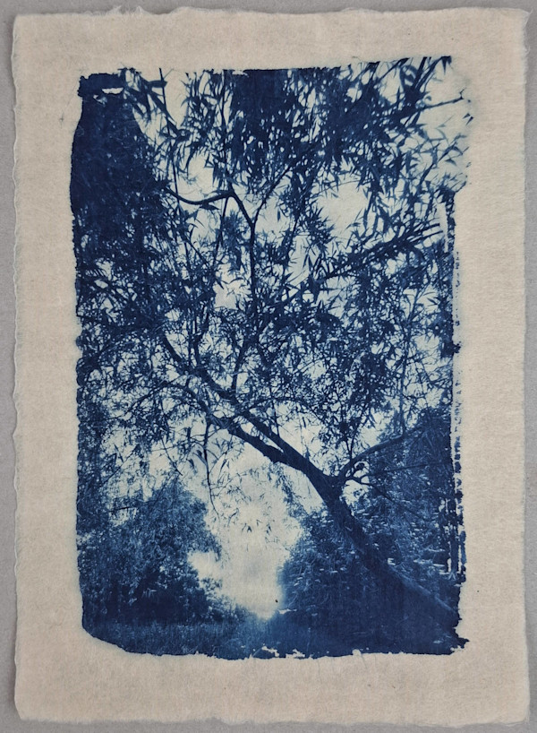La terra lagrimosa diede vento, che balenò una luce vermiglia by Annalisa Mercuri, Image 2.