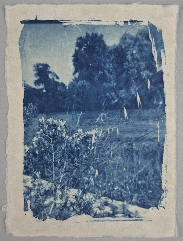 Lungo il Fiume Adige by Annalisa Mercuri, Image 2.