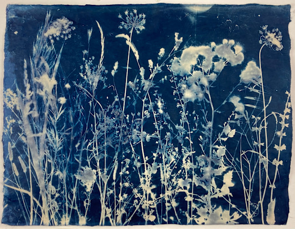 Sulle Rive del Fiume Adige by Annalisa Mercuri, Image 1.