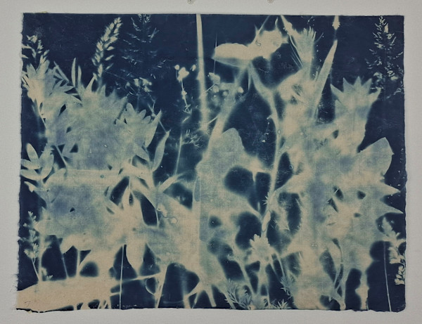 Sulle Rive del Fiume Tartaro by Annalisa Mercuri, Image 1.