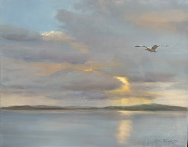 A New Dawn by Rose Tanner