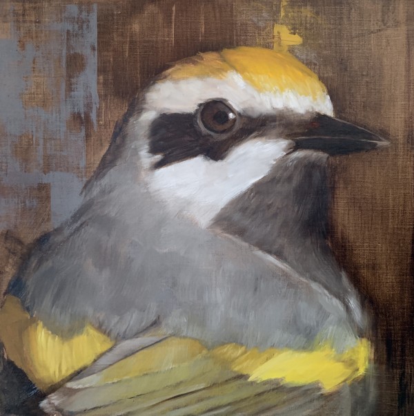 Golden-Winged Warbler by Rose Tanner